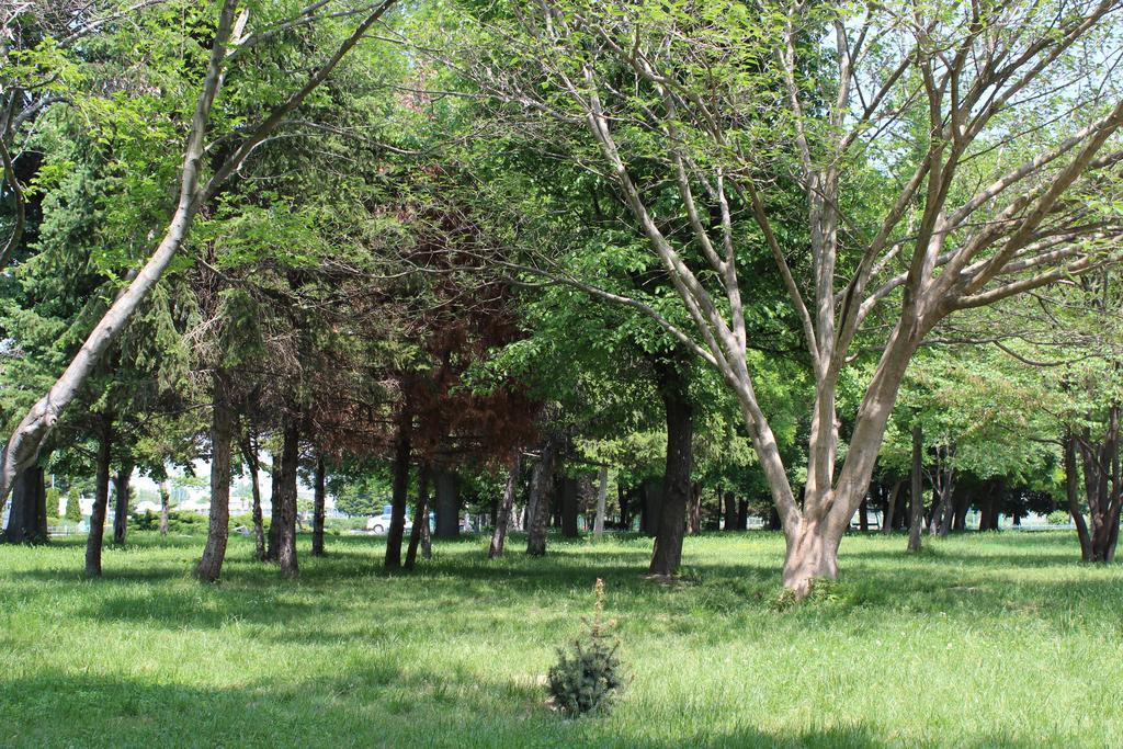 Youth Centre Пловдив Екстер'єр фото
